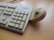 Compaq 166516 + Microsoft BallPoint Mouse