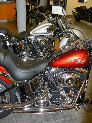 MY_Family-Motory-Foto_e5