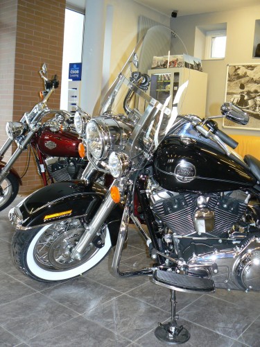 MY_Family-Motory-Foto_e6